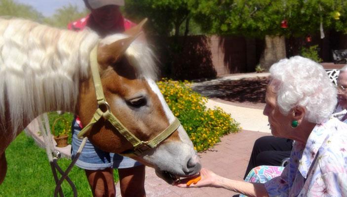 San Nicolas Assisted Living Nw