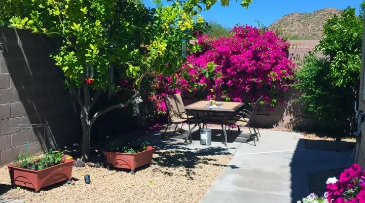 Assisted Living Amber Hills