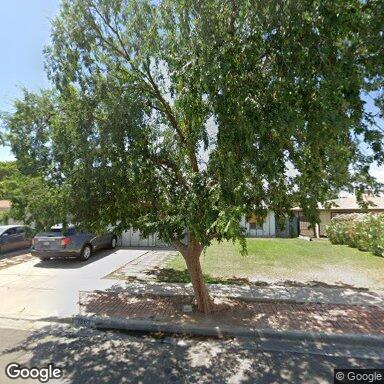 Smoketree