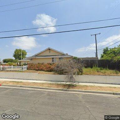 Lemon Tree Home Living