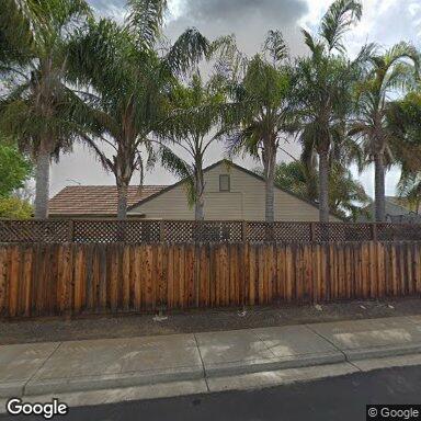 CICADA – BRENTWOOD