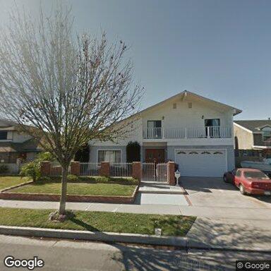 Birds of Paradise Home